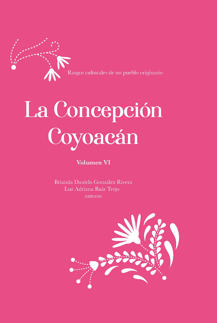 libro epub de La Concepción Coyoacán Vol. VI