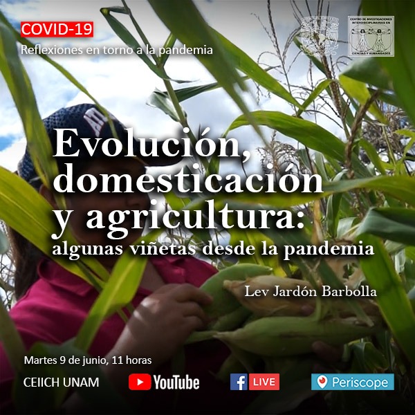 Evolución, domesticación y agricultura: algunas viñetas desde la pandemia