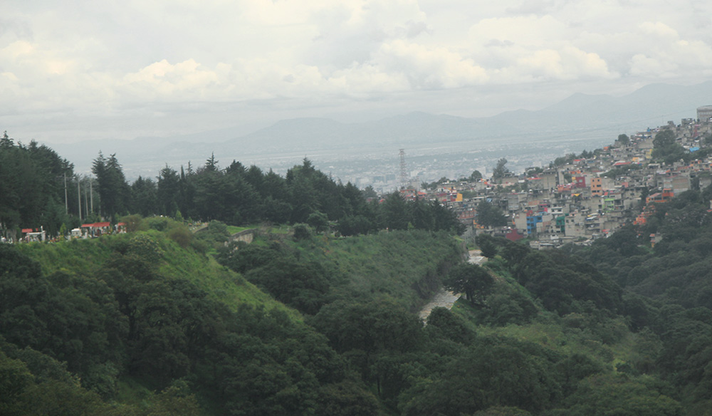 Restauración de la Sierra de las Cruces, en el poniente de la CDMX, fundamental para el equilibrio ecológico de la capital