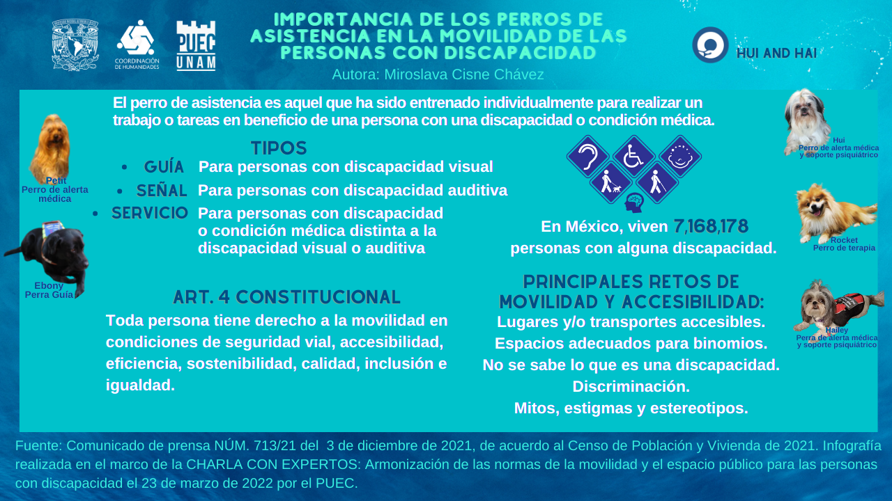 Importancia de los perros de asistencia en la movilidad de las personas con discapacidad