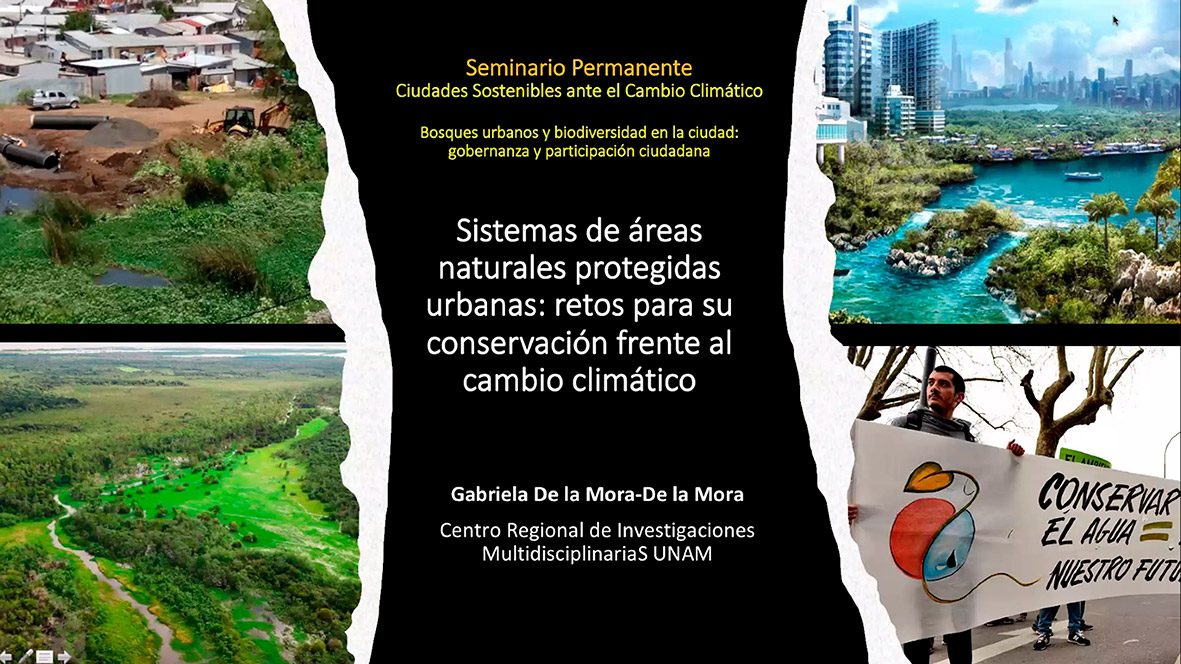 Conservación de áreas naturales, principal requerimiento en las ciudades 