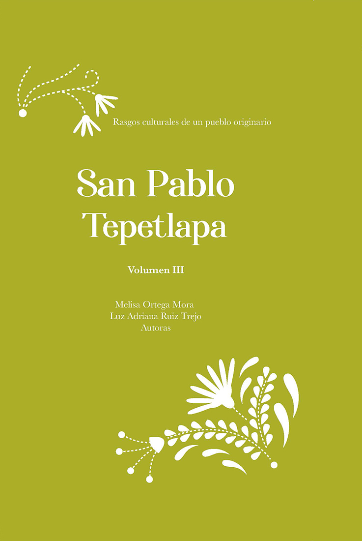 San Pablo Tepetlapa (Vol. III) / ePub