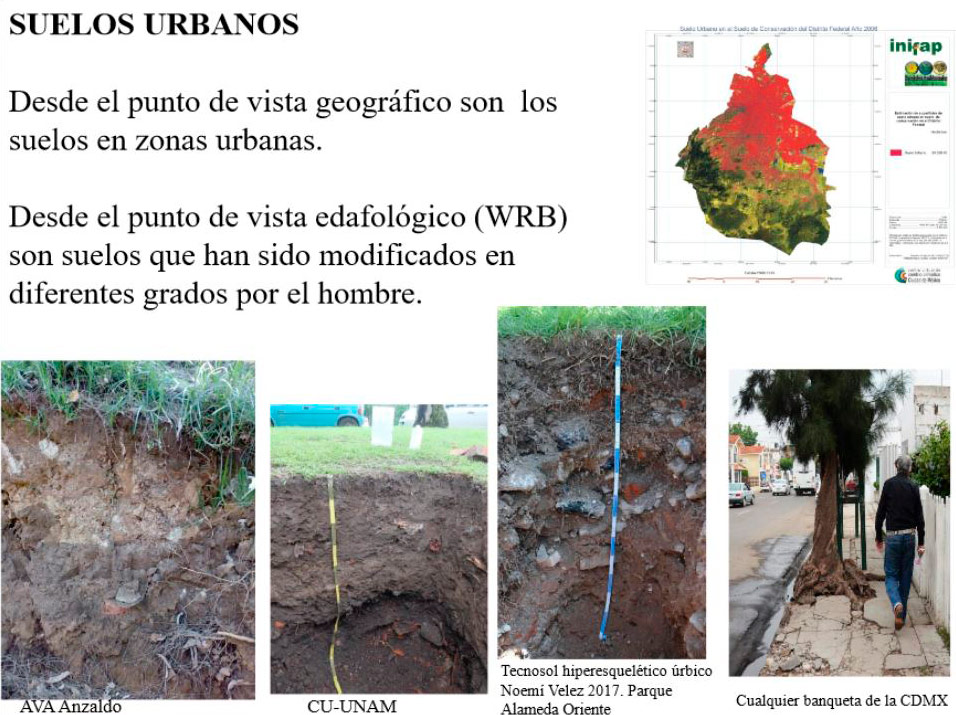 Suelos urbanos y su relación con la calidad y cantidad de agua