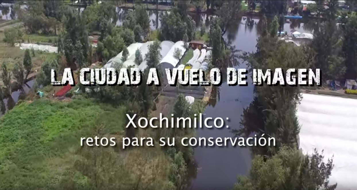 Xochimilco: retos para su conservación